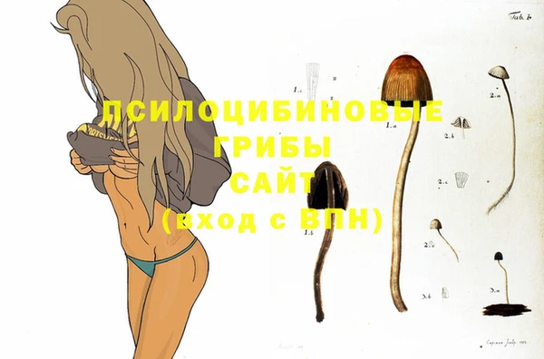 кристаллы Козельск